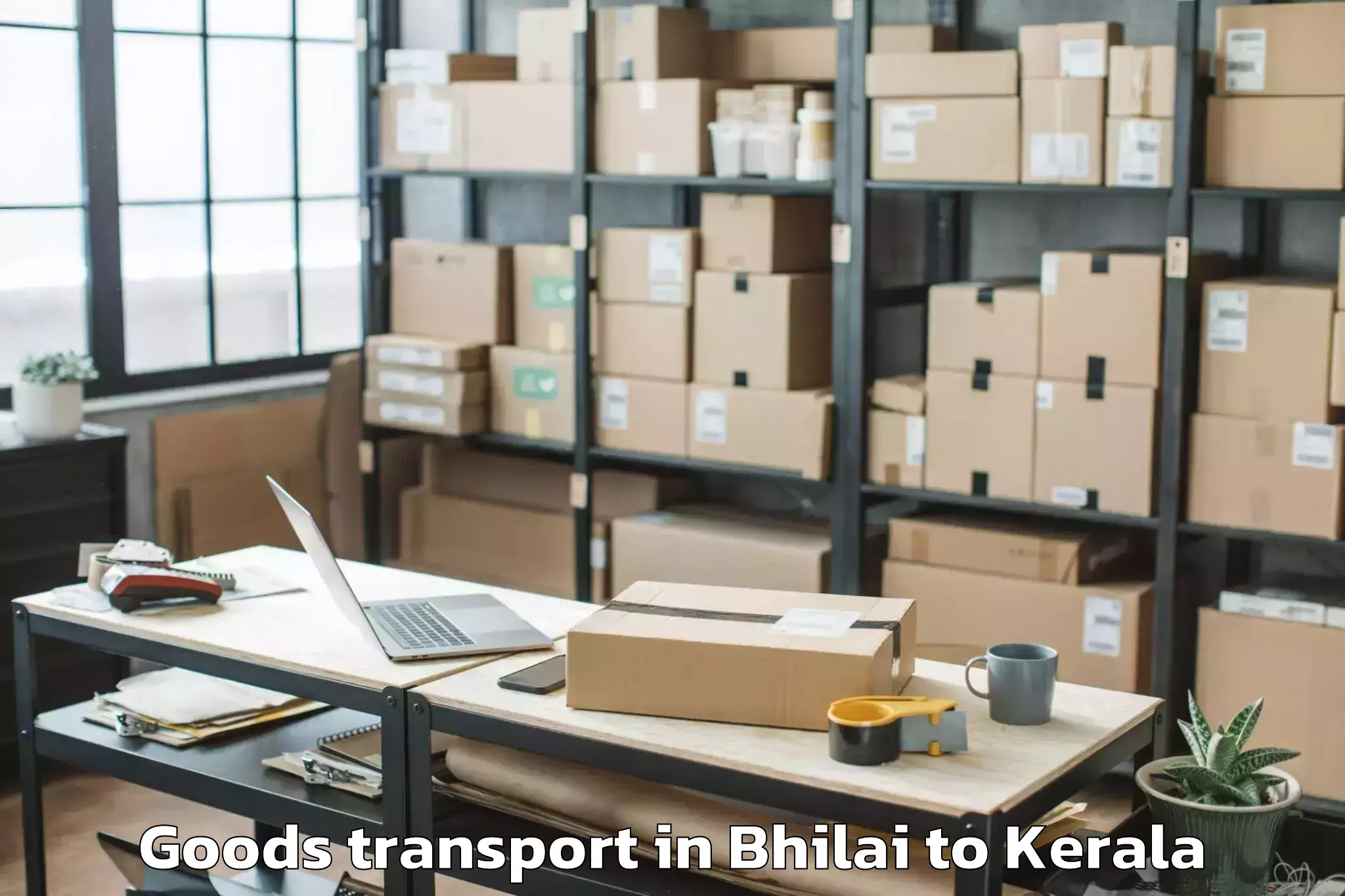 Discover Bhilai to Kozhippara Goods Transport